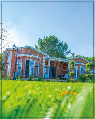 Gallery 29